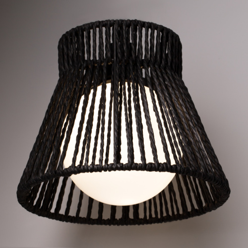 Настенный светильник (бра) Freya FR5405WL-01B фото 5